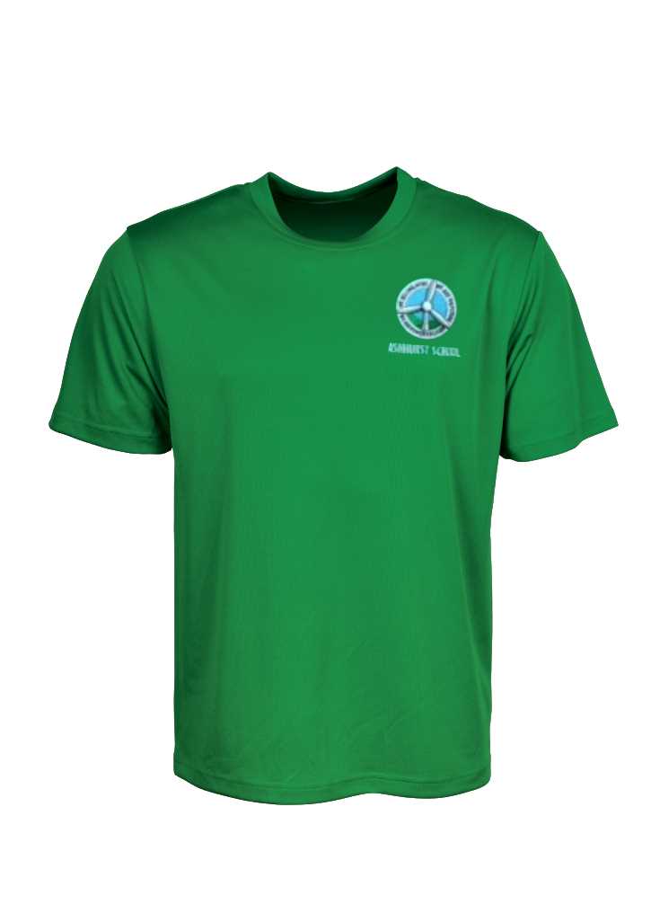 Ashhurst Primary School PE Tee Shirt Green